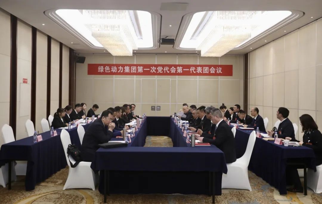 铭刻使命再出发，，，，，，，代表热议“两委”报告